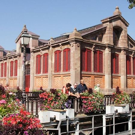 Colmar Nature - Quiet Apartment Maraichers 外观 照片